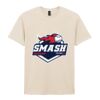 Softstyle™ adult ringspun t-shirt Thumbnail