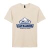 Softstyle™ adult ringspun t-shirt Thumbnail