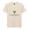 Softstyle™ adult ringspun t-shirt Thumbnail