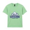 Heavy Cotton™ youth t-shirt Thumbnail