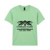 Heavy Cotton™ youth t-shirt Thumbnail