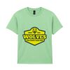 Heavy Cotton™ youth t-shirt Thumbnail