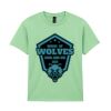 Heavy Cotton™ youth t-shirt Thumbnail