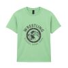 Heavy Cotton™ youth t-shirt Thumbnail